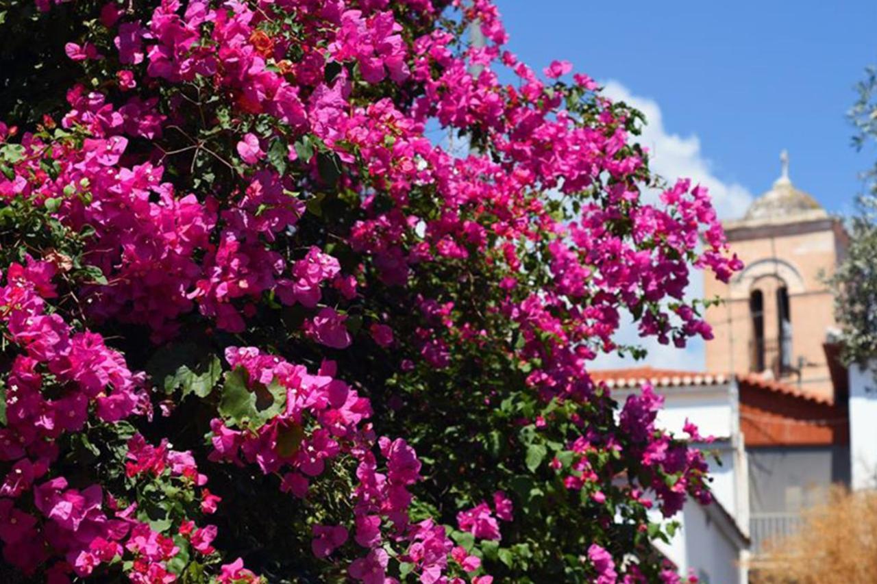 Koukonas Hotel Galaxidi ภายนอก รูปภาพ
